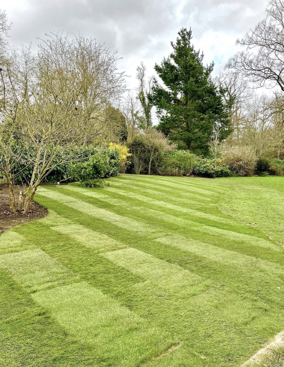 Freshly laid striped turf lawn in a large Belfast garden